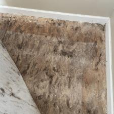 Mold-Inspection-Mold-found-underneath-laminate-flooring-in-Charleston-home 0